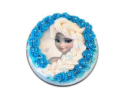 کیک تولد دخترانه - کیک السای زیبا | کیک آف