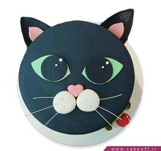  کیک فوندانتی گربه ملوس 