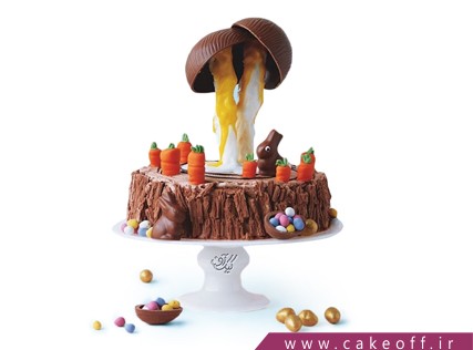 کیک خاص - کیک جنگل قارچ ها | کیک آف