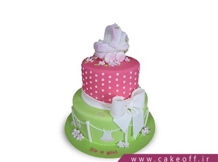 cake birthday cakes t violet 1045