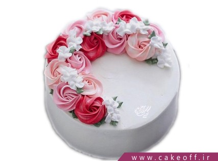 cake birthday cakes bibi gol 2 4289