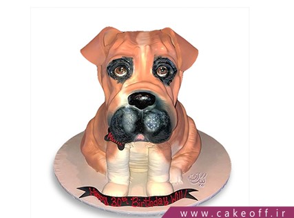 cake figure cakes sag e barfi 1141