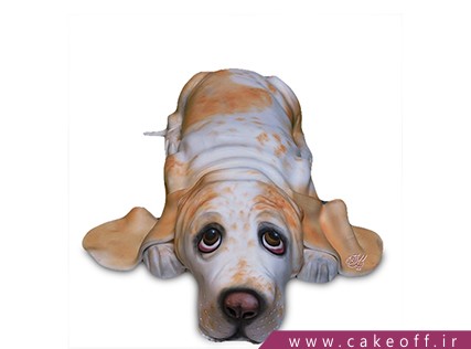 cake figure cakes sag e barfi 1141