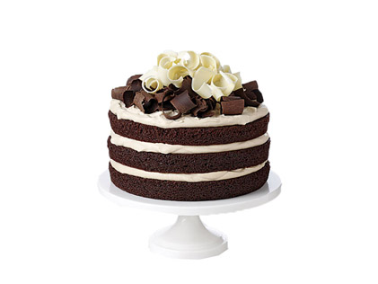 article all chocolate cake 01 136