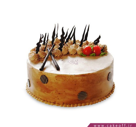 کیک شکلاتی - کیک تولد - کیک دژ شکلاتی | کیک آف