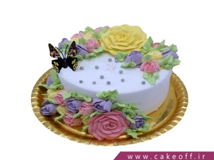 cake regular cakes bibi dar baghchesabz 4439