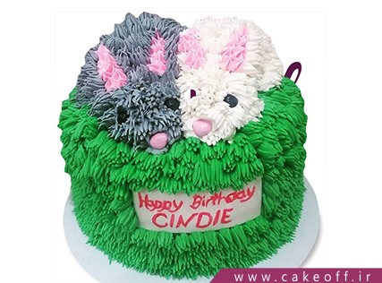 کیک تولد حیوانات - کیک خرگوش 7 | کیک آف