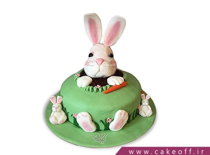 کیک تولد بچه گانه - کیک خرگوش 23 | کیک آف
