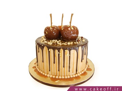 article all chocolate cake 01 136