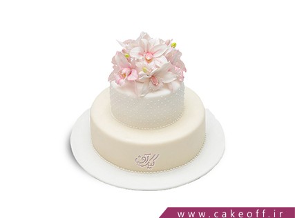 cake regular cakes moj e darya 862