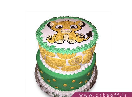 cake birthday cakes barre naghola5 225