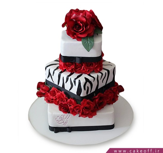 cake birthday cakes zebra 2 1321